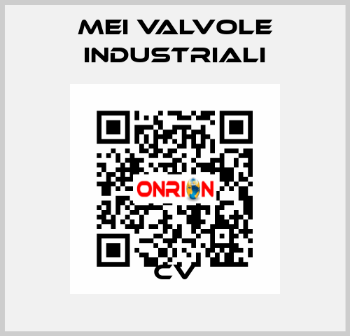 CV MEI VALVOLE INDUSTRIALI