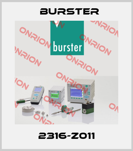 2316-Z011 Burster