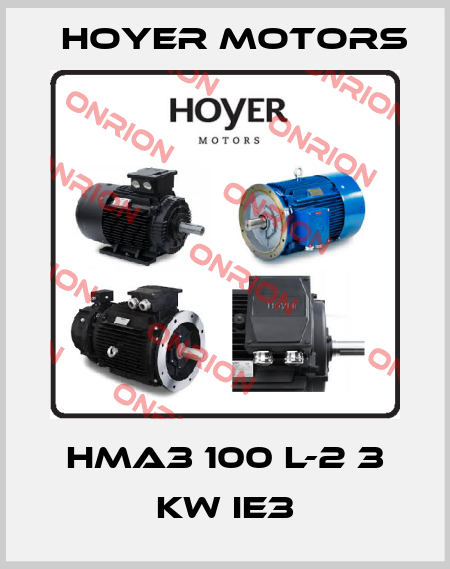 HMA3 100 L-2 3 kW IE3 Hoyer Motors