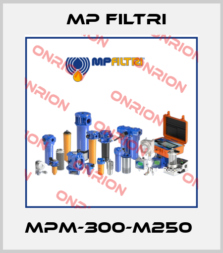 MPM-300-M250  MP Filtri