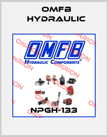 NPGH-133 OMFB Hydraulic