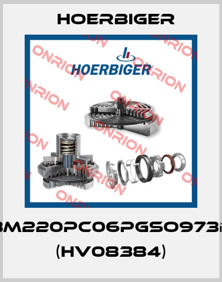 SBM220PC06PGSO973B2 (HV08384) Hoerbiger