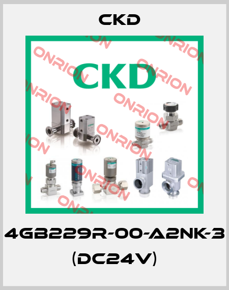 4GB229R-00-A2NK-3 (DC24V) Ckd