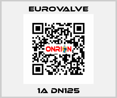 1A DN125 Eurovalve