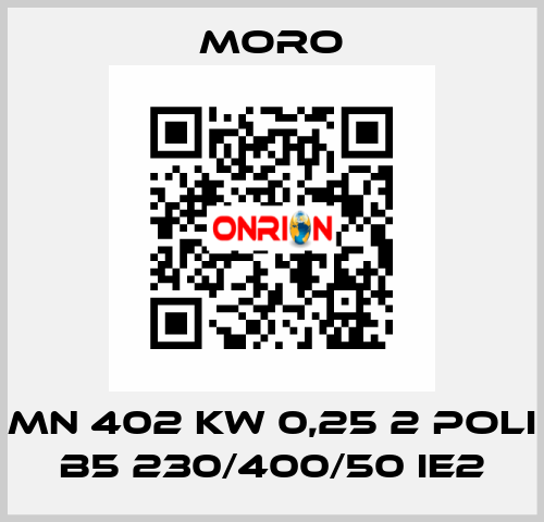 MN 402 KW 0,25 2 POLI B5 230/400/50 IE2 Moro