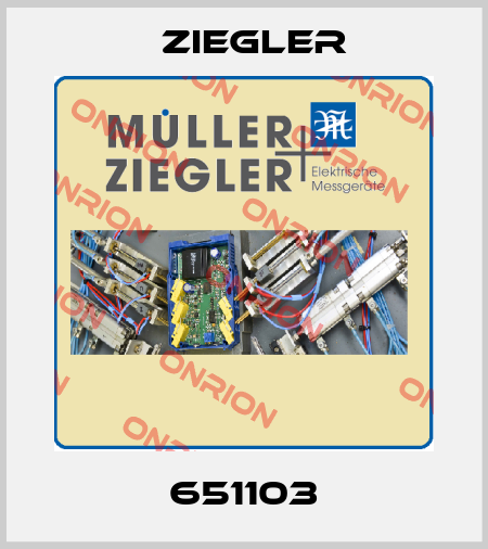 651103 Ziegler
