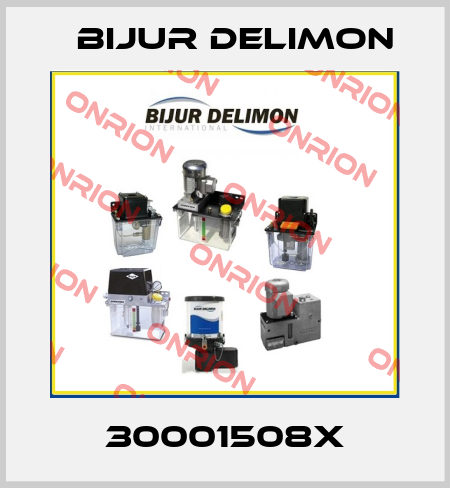 30001508X Bijur Delimon