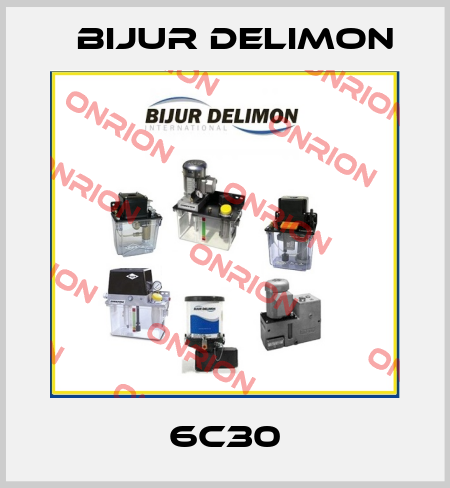 6C30 Bijur Delimon