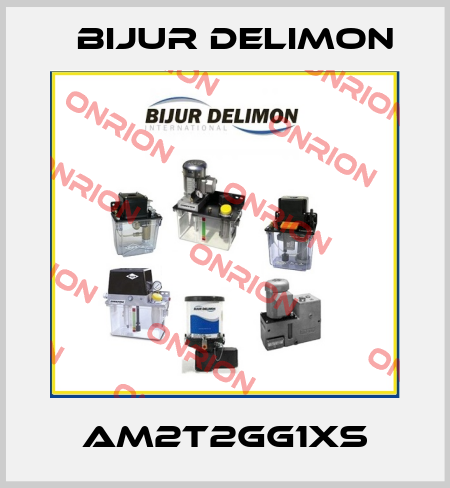 AM2T2GG1XS Bijur Delimon