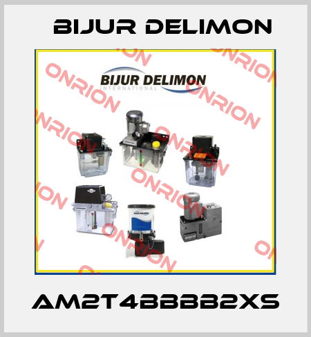 AM2T4BBBB2XS Bijur Delimon