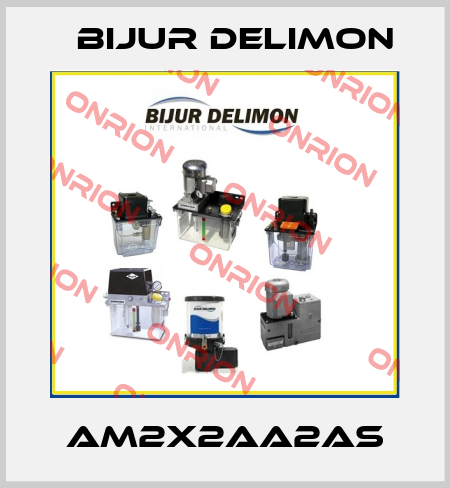 AM2X2AA2AS Bijur Delimon