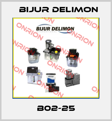 B02-25 Bijur Delimon