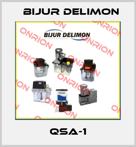 QSA-1 Bijur Delimon