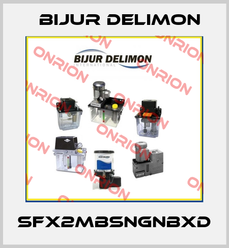 SFX2MBSNGNBXD Bijur Delimon