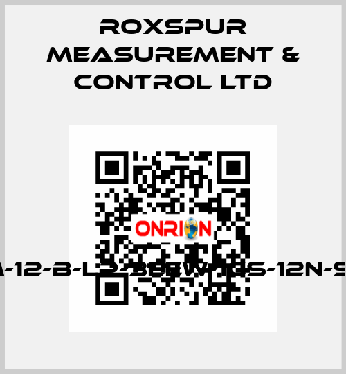 FMM-12-B-LP-3EEW-1CS-12N-S1-D4 Roxspur Measurement & Control Ltd