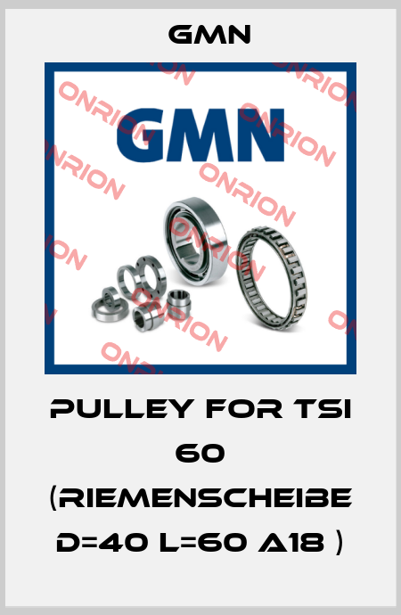 pulley for TSI 60 (Riemenscheibe D=40 L=60 A18 ) Gmn