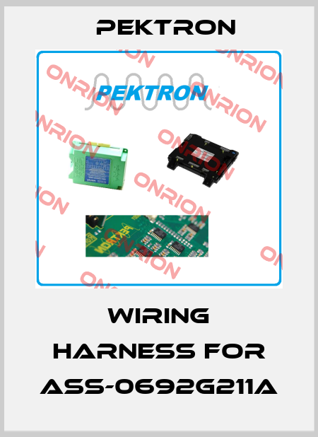 Wiring harness for ASS-0692G211A Pektron