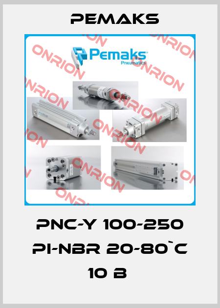 PNC-Y 100-250 PI-NBR 20-80`C 10 B  Pemaks