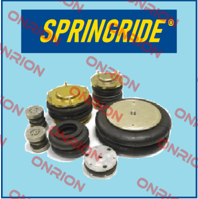 PNP 30550 01 12  Springride