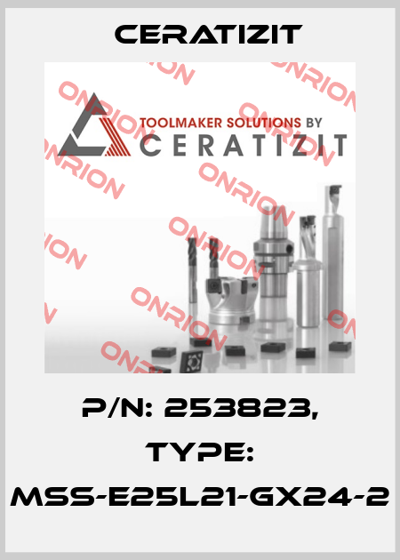 P/N: 253823, Type: MSS-E25L21-GX24-2 Ceratizit