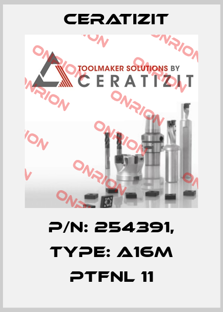P/N: 254391, Type: A16M PTFNL 11 Ceratizit