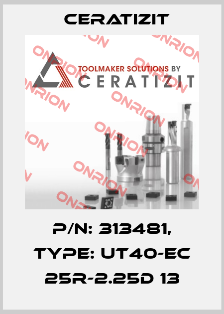 P/N: 313481, Type: UT40-EC 25R-2.25D 13 Ceratizit