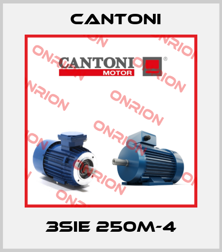 3SIE 250M-4 Cantoni