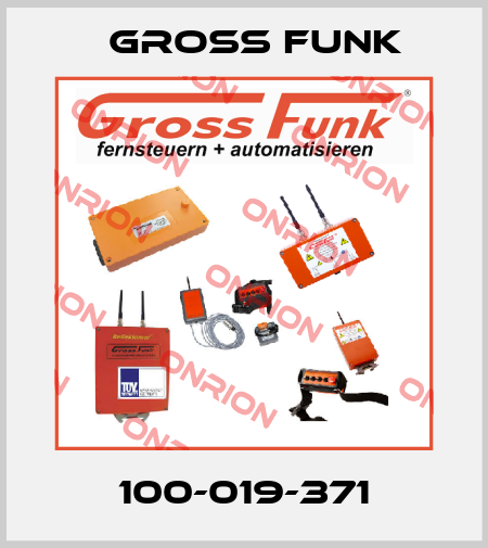 100-019-371 Gross Funk
