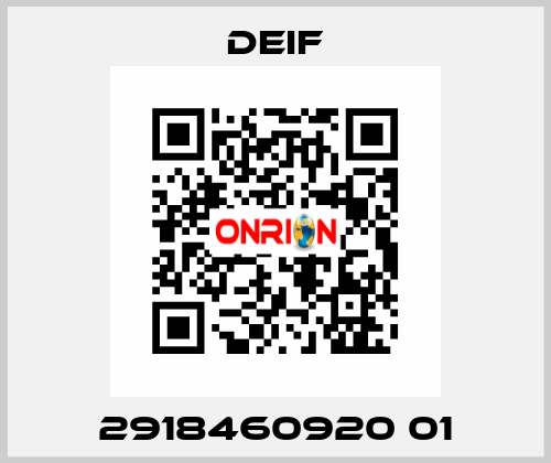 2918460920 01 Deif