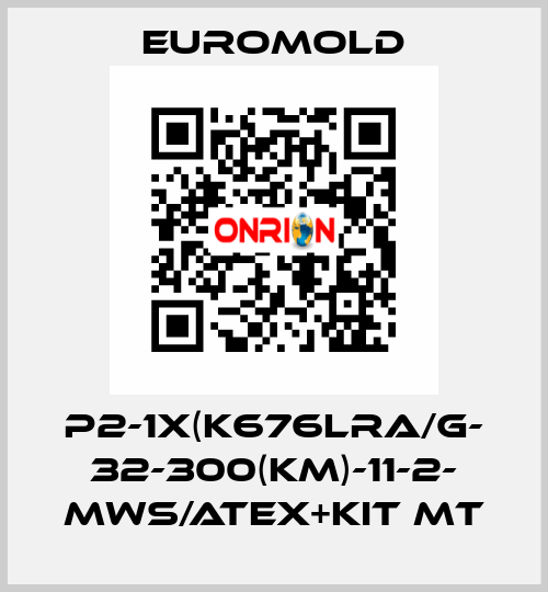 P2-1x(K676LRA/G- 32-300(KM)-11-2- MWS/ATEX+KIT MT EUROMOLD