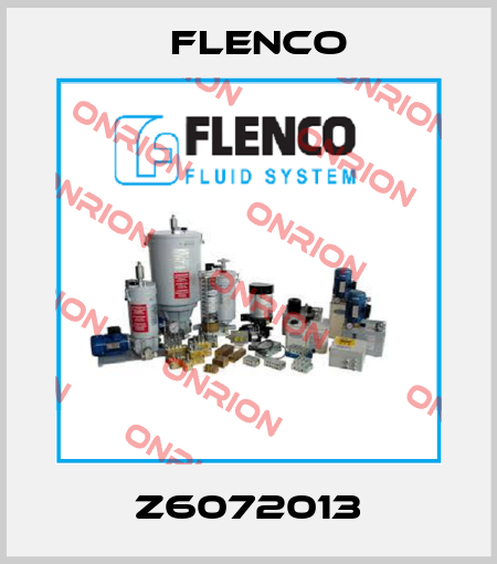 Z6072013 Flenco