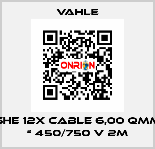 SHE 12x Cable 6,00 Qmm ² 450/750 V 2m Vahle