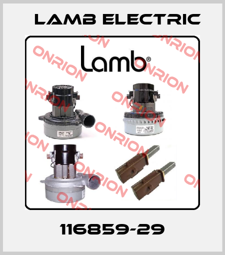 116859-29 Lamb Electric