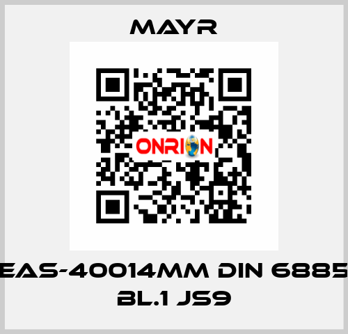 EAS-40014MM DIN 6885 BL.1 JS9 Mayr