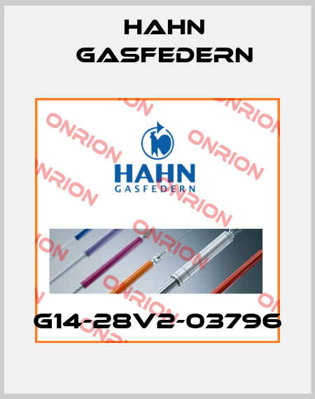 G14-28V2-03796 Hahn Gasfedern