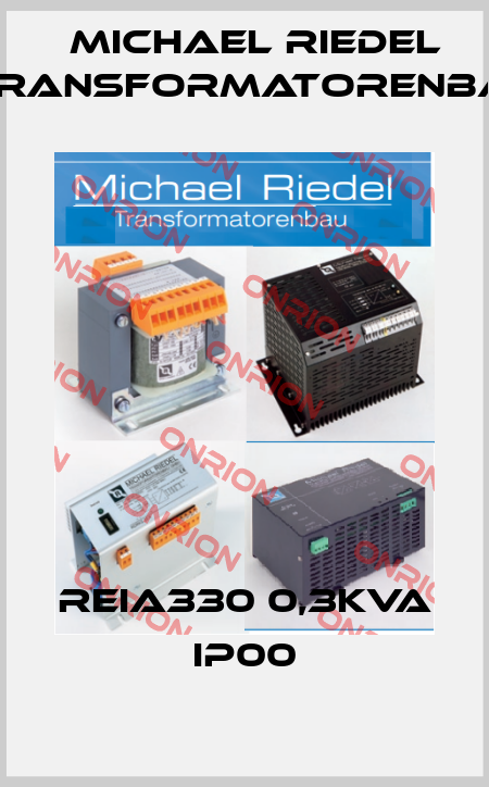 REIA330 0,3kVA IP00 Michael Riedel Transformatorenbau