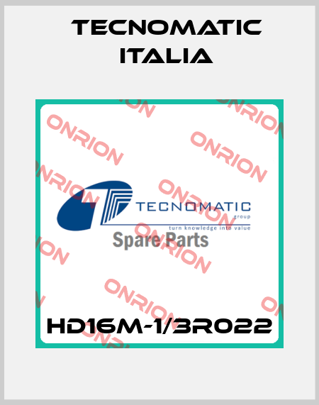 HD16M-1/3R022 Tecnomatic Italia