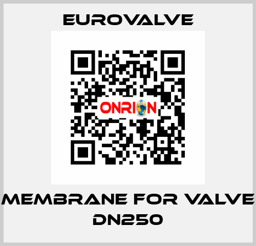 membrane for valve DN250 Eurovalve