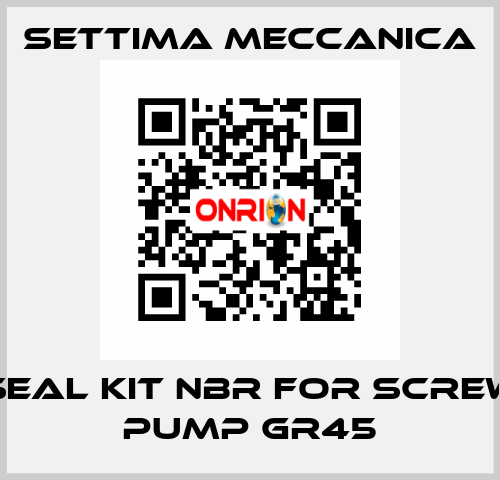 SEAL KIT NBR FOR SCREW PUMP GR45 Settima Meccanica