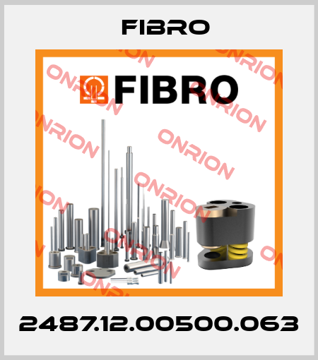 2487.12.00500.063 Fibro
