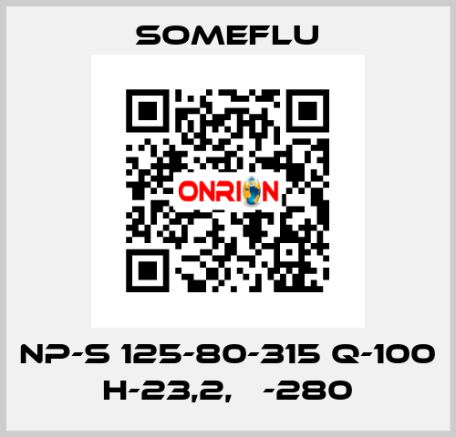 NP-S 125-80-315 Q-100 H-23,2, Ф-280 SOMEFLU