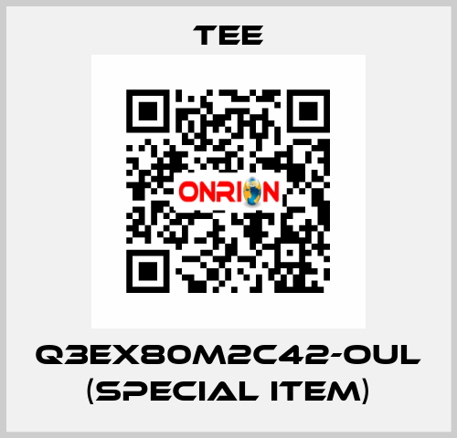 Q3EX80M2C42-OUL (special item) TEE