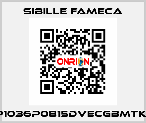 VDP1036P0815DVECGBMTKRI1T Sibille Fameca