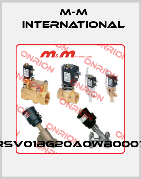 RSV01BG20A0WB0007 M-M International