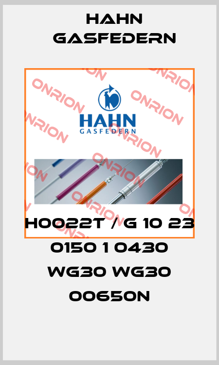 H0022T / G 10 23 0150 1 0430 WG30 WG30 00650N Hahn Gasfedern