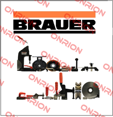 MS 12100 Brauer