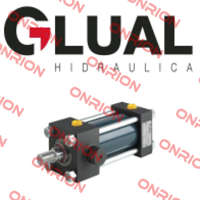 G1-KD-100/70-20 Glual Hydraulics