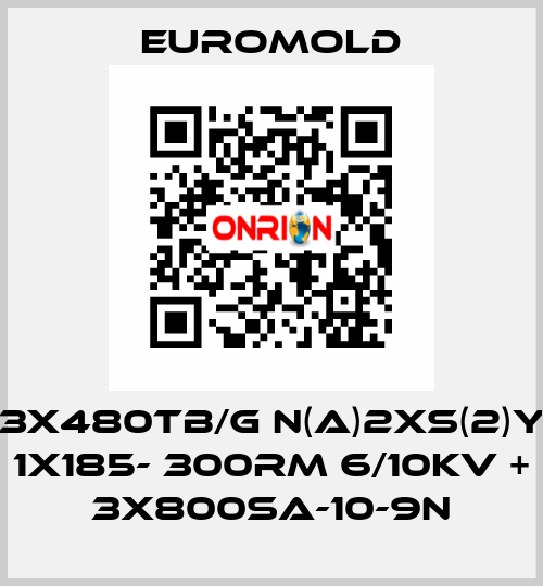 3x480TB/G N(A)2XS(2)Y 1X185- 300RM 6/10KV + 3x800SA-10-9N EUROMOLD