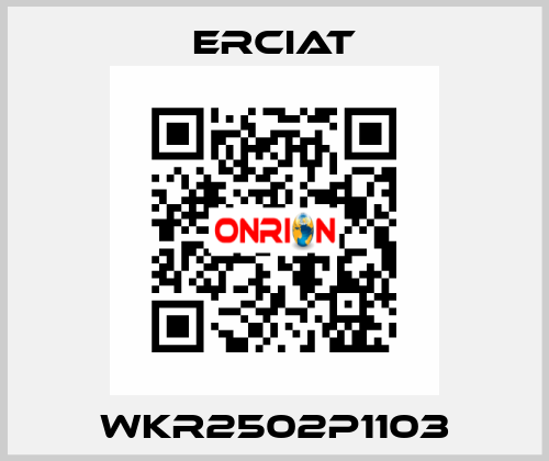 WKR2502P1103 ERCIAT