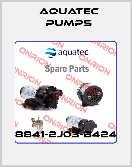 8841-2J03-B424 Aquatec Pumps